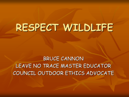 RESPECT WILDLIFE