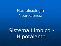 sistema limbico corregido 2010