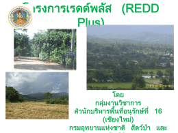 โครงการเรดด์พลัส (REDD Plus) - กรมอุทยานแห่งชาติสัตว์ป่าและพันธุ์พืช
