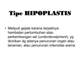 Tipe HIPOPLASTIS