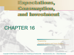 Chapter 16. Expectations, Consumption, and Investment