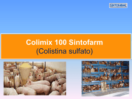 Colisint 100 - Colistina Sulfato 10% granular