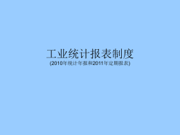 2010年工业企业年报培训课件