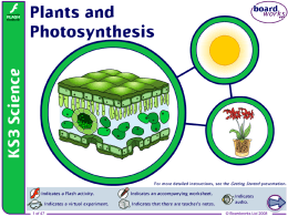 Plants and Photosynthesis