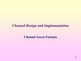 3.1 Channel Access Formats