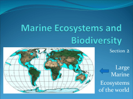 Marine Ecosystems & Biodiversity