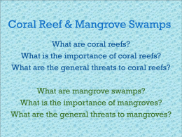 Coral Reef & Mangrove Swamps
