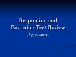 Respiration and Excretion Test Review