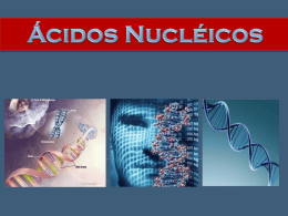 Ácidos Nucléicos - biologiavirtual