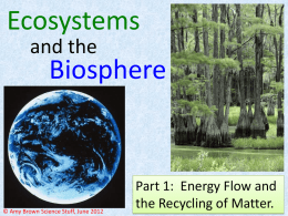 PowerPoint: Ecosystems and the Biosphere Part 1