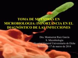 MuestrasBolonia - Blog de Microbiología del Hospital General