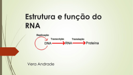 ESTRUTURA e FUNÇAO RNA 2014