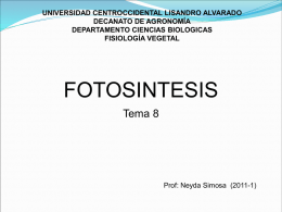 fotosintesis(2011-1) - Mis Clases fisiologia vegetal