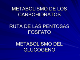 metabolismo de los carbohidratos ruta de las pentosas fosfato