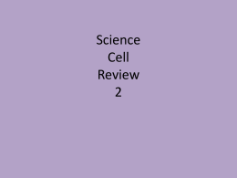 cell review 2