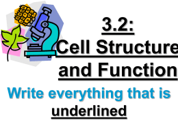 3-2 organelle