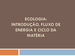 Ecologia: introdução, fluxo de energia e ciclo da matéria