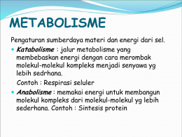 metabolisme sel dan siklus sel