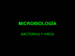 La bacteria