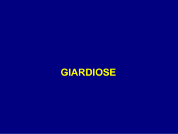 Giardiose