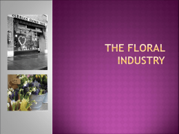 Floral Industry PowerPoint