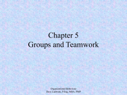 Organizational Behaviour Chapter 5 - Groups