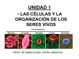 unidad 1 las células y la organización de los seres vivos