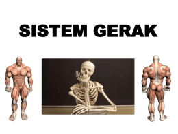SISTEM GERAK - yustinarena