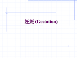 妊娠(Gestation)