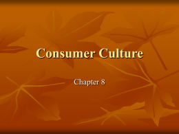 Chapter 8: Consumer Culture