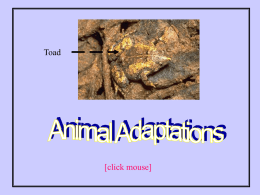 Physical adaptation
