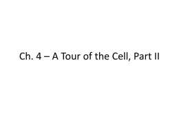 Ch. 4 – A Tour of the Cell, Part II