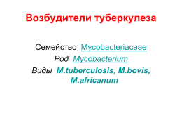 Туберкулез - micro