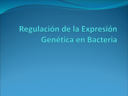 Regulacion de la Expresion Genetica en Bacteria