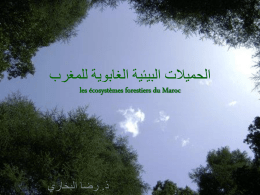 عرض حول الغابة المغربية
