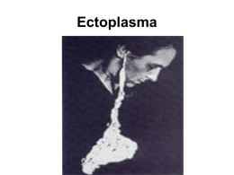 O que e Ectoplasma? - Pedro Emanuel Spiritist Centre
