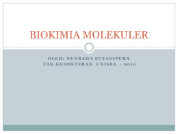 BIOKIMIA MOLEKULER