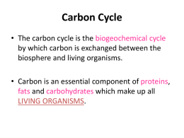 NOTES: Carbon Cycle