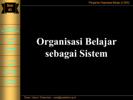 model-sistem-organisasi-belaja