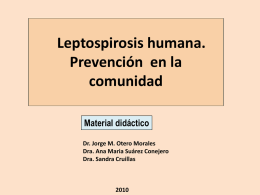 Prevención de la leptospirosis humana.