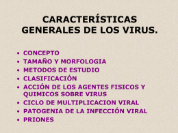 Generalidades de los virus
