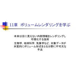 11章 ボリュームレンダリングを学ぶ