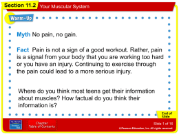 Muscular System