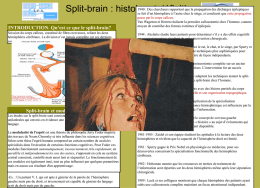 Split-brain et modularité de l`esprit