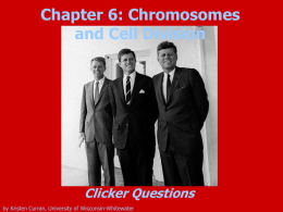 Chromosomes and Cell Division - faculty lounge: non