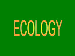A Study of an Ecosystem Powerpoint
