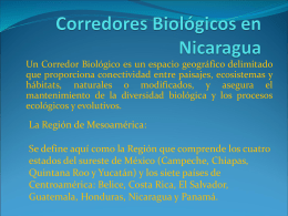 Corredores Biológicos en Nicaragua