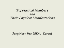 Topological Numbers and Their Physical Manifestations