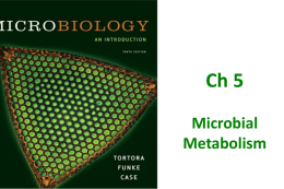 Ch 6 Metabolism: Fueling Cell Growth