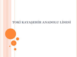 TOKİ Kayaşehir Anadolu Lisesi
